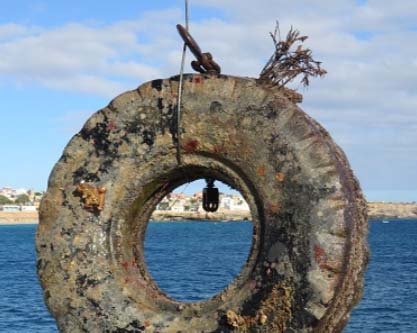 Contaminated Environment Diving